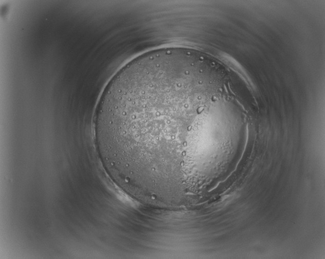 X0000072511292200607211348