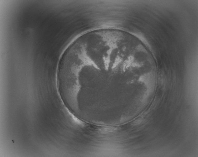 X0000072511294200607211348