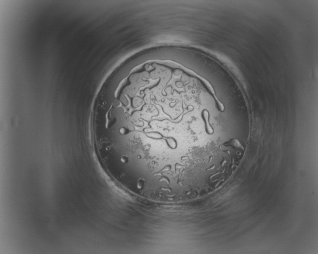 X0000072511295200607211347