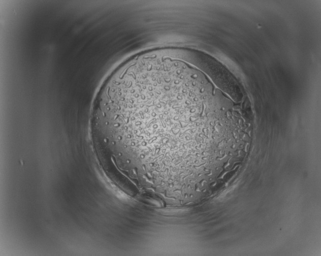 X0000072511296200607211347