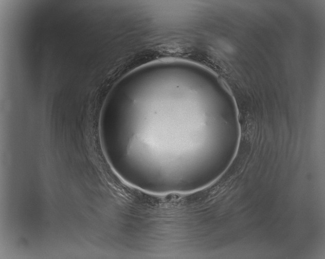 X0000072511297200607211347