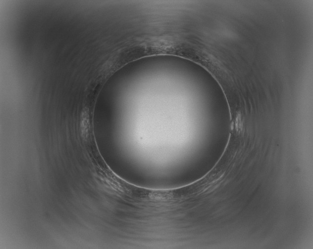 X0000072511299200607211347