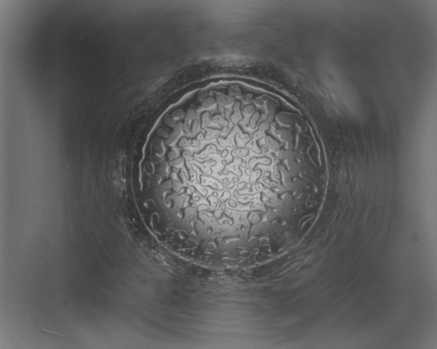 X0000072511301200607211347