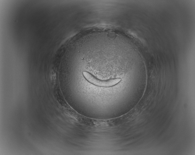 X0000072511302200607211347