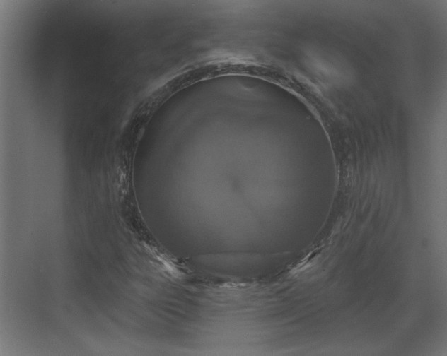 X0000072511303200607211347