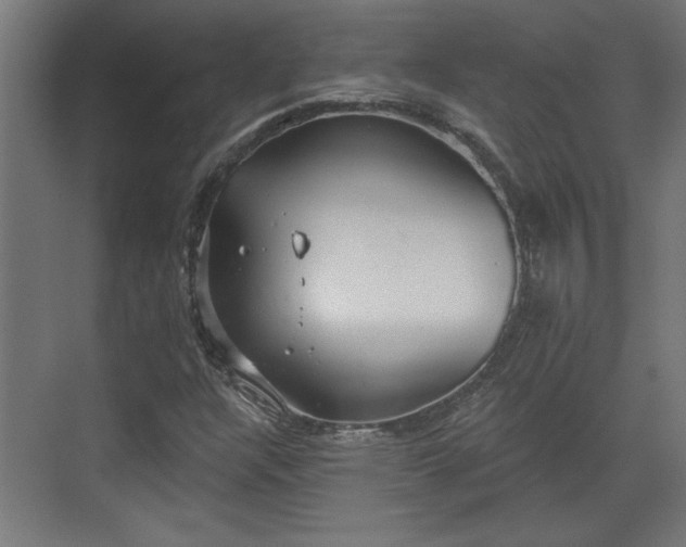 X0000072511304200607211347