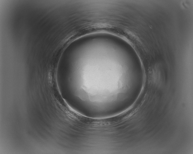 X0000072511305200607211347