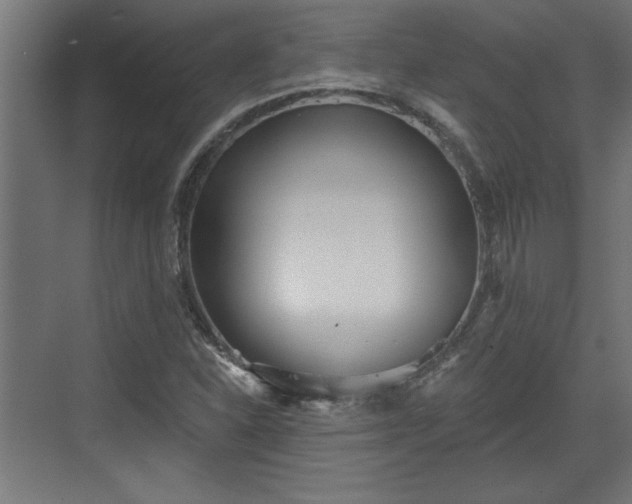 X0000072511310200607211347