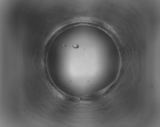 X0000072511312200607211347