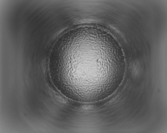 X0000072511313200607211347