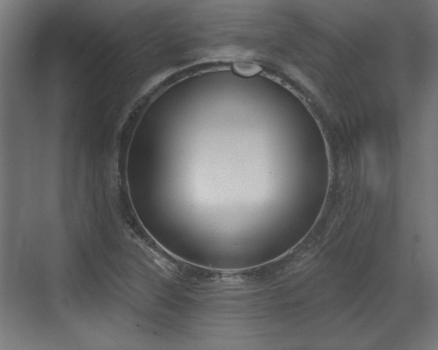 X0000072511315200607211347