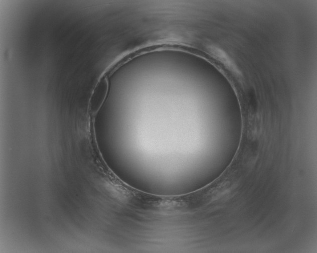 X0000072511316200607211347