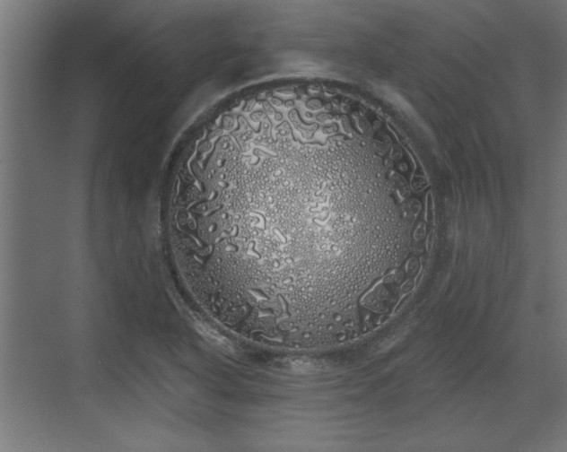 X0000072511318200607211347