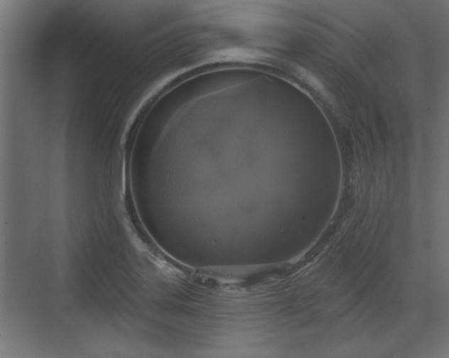 X0000072511323200607211347