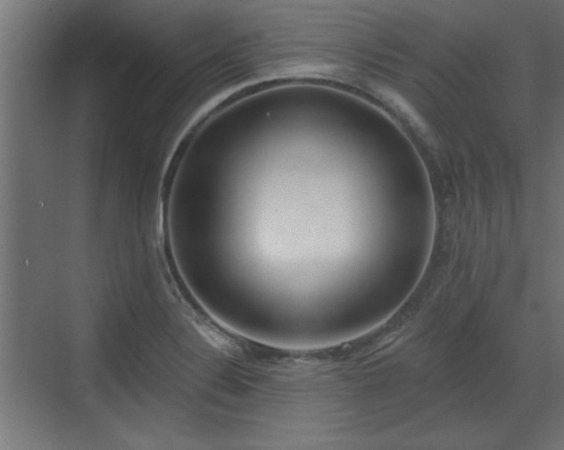 X0000072511324200607211347