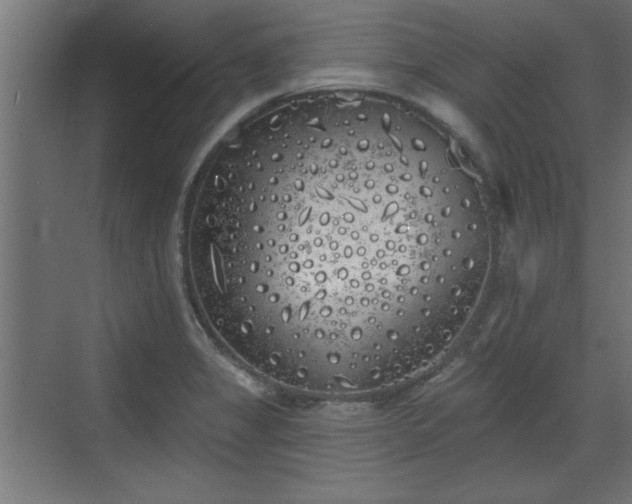 X0000072511325200607211347