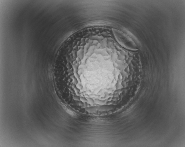 X0000072511329200607211347