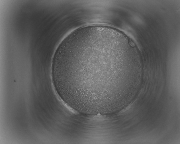 X0000072511333200607211347