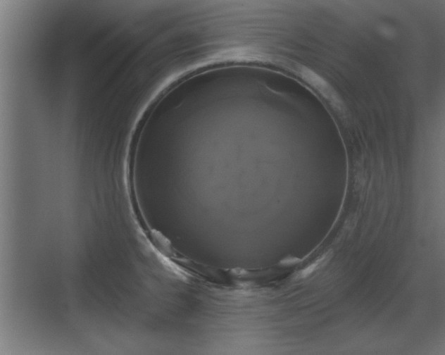 X0000072511334200607211347