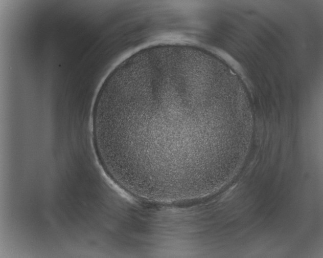 X0000072511335200607211347