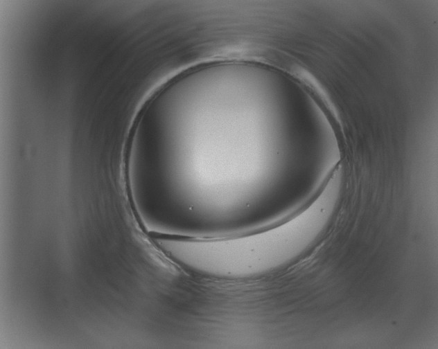 X0000072511336200607211347