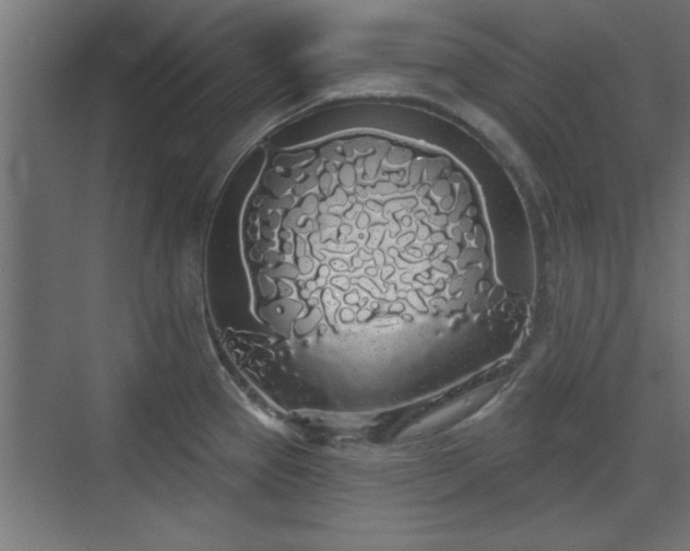 X0000072511337200607211347