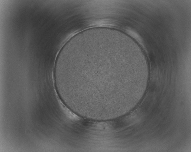 X0000072511338200607211347