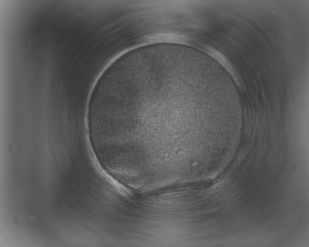 X0000072511339200607211347