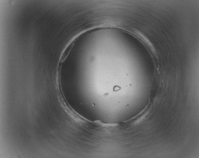 X0000072511340200607211347