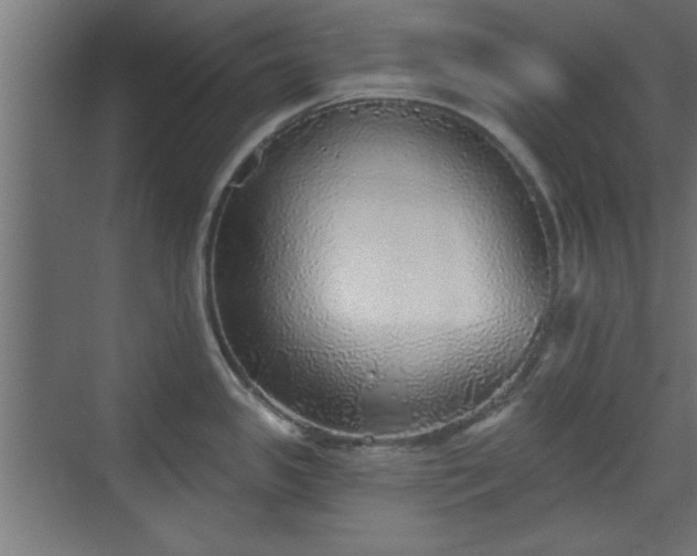 X0000072511341200607211347