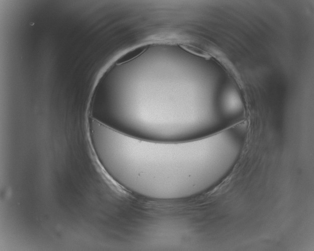 X0000072511344200607211347