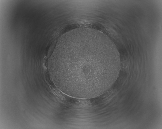 X0000072511346200607211347