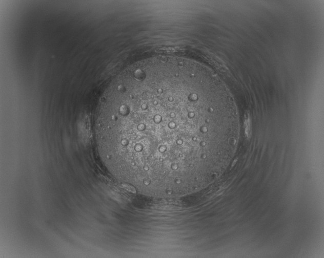 X0000072511347200607211347