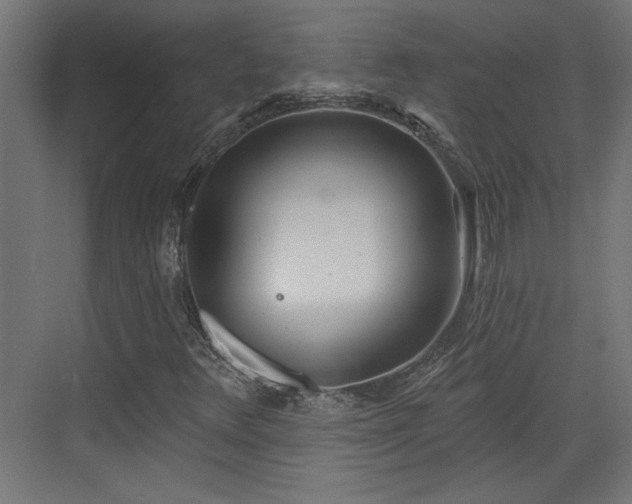 X0000072511348200607211347