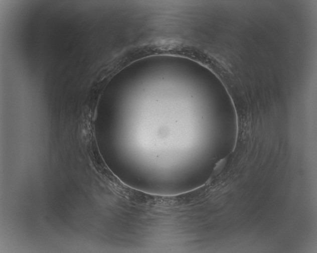 X0000072511349200607211347