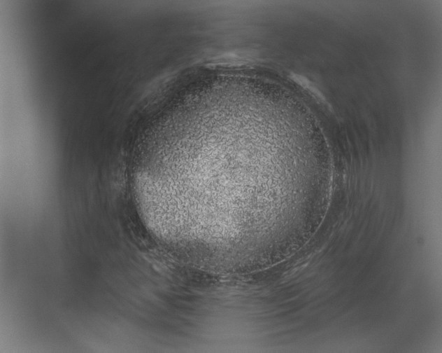 X0000072511350200607211347