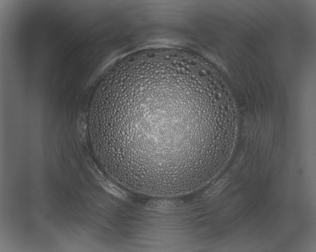 X0000072511355200607211346