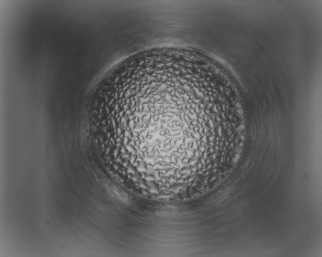 X0000072511359200607211346