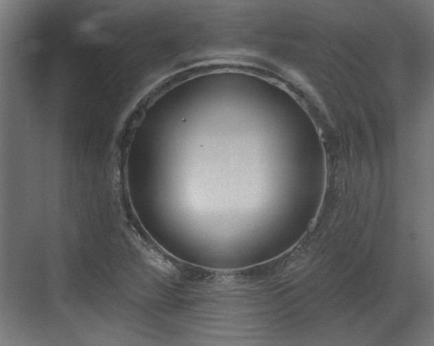 X0000072511360200607211346