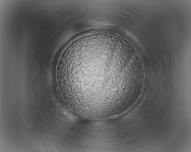 X0000072511362200607211346