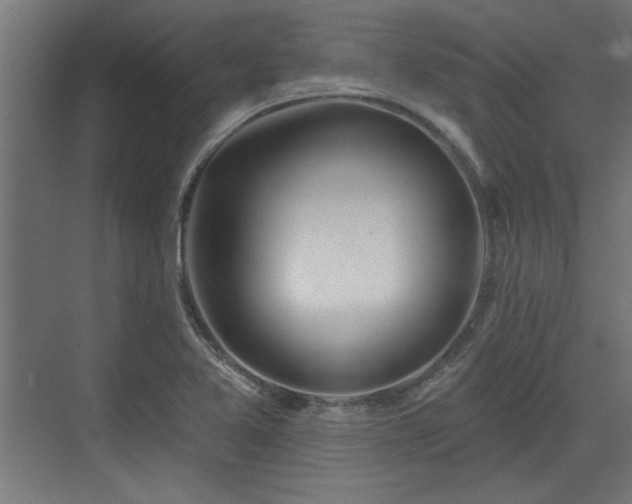 X0000072511365200607211346