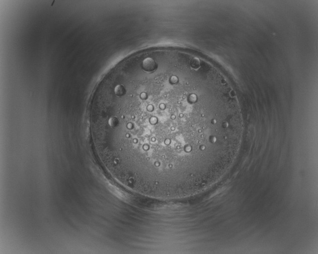 X0000072511367200607211346