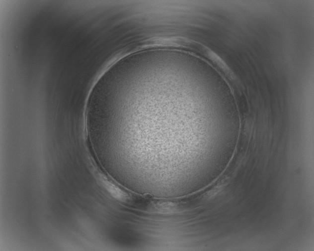 X0000072511370200607211346