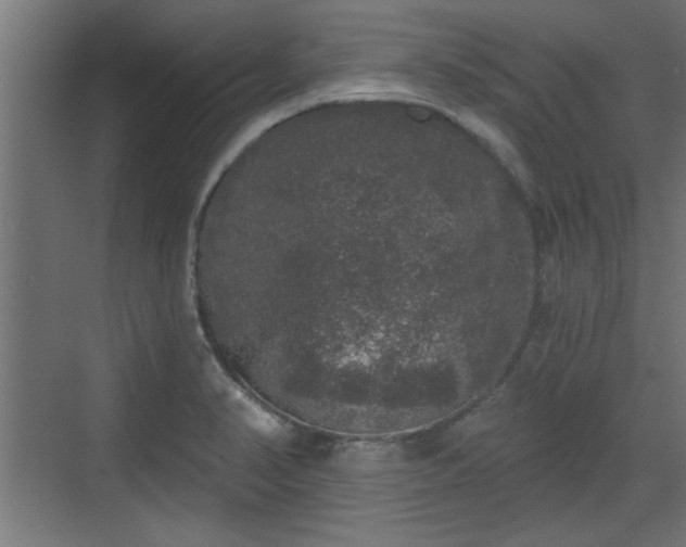 X0000072511374200607211346