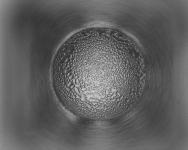 X0000072511375200607211346