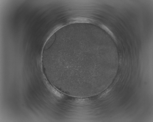 X0000072511378200607211346