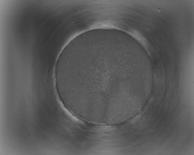 X0000072511382200607211346