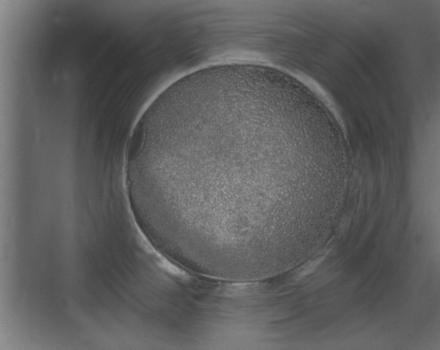 X0000072511390200607211346