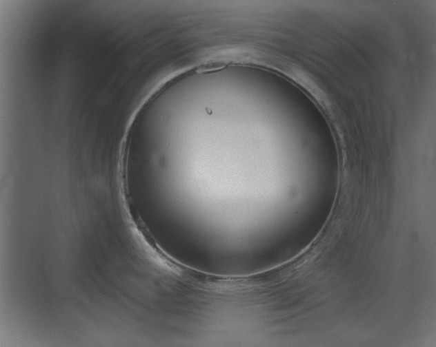 X0000072511392200607211346