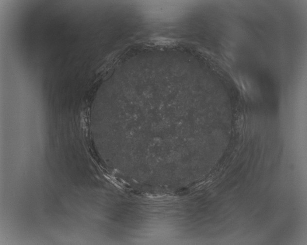 X0000072511397200607211345